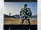 Pink Floyd - Delicate Sound Of Thunder Vinyl Record LP 1988 CBS Pressing