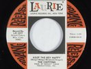 Northern Soul Girl Group 45 CHIFFONS Keep The Boy Happy LAURIE VG++ promo HEAR