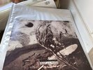David Sylvian Secrets of the Beehive Vinyl LP Virgin V2471 1987