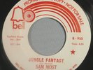 HEAR IT 70's Funk Promo 45 rpm Sam Most 