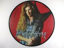 Megadeth Capitol CLPD 662 Pic Disc  Symphony of Destruction / In My Darkest Hour