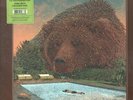 VILLAGERS FEVER DREAMS LP VINYL 10 track indies only green vinyl in die-cut slee