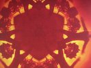 Boards Of Canada Geogaddi Sealed Double ETCHED Vinyl LP