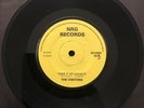 The Visitors - Take It Or Leave It / No Compromise 7'' SRTS/NRG002 1978 PUNK VG+