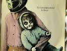 The Chameleons, In Shreds 7