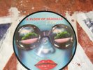 RARE/ FLOCK OF SEAGULLS/ I RAN 7 INCH PICTURE DISC/ 1982/EX CON