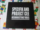 SPECIFIK AND PROJECT CEE RESURRECTIING VIBES ORIGINAL 1991 SUDDEN DEATH VINYL LP