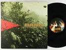 Bane - It All Comes Down To This LP - Equal Vision 1st Press VG++