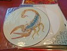 THE SCORPIONS BIG CITY NIGHTS BAD BOYS RUNNING WILD PICTURE DISC 12