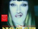 Dead Or Alive - 