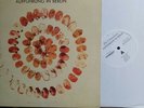 The Chameleons - Auffuhrung in Berlin Live LP recorded at the Loft,Berlin 1983