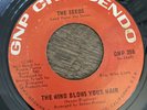 THE SEEDS THE WIND BLOWS YOUR HAIR 45 RARE PSYCH GARAGE VG+