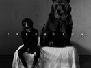 6lack - Free 6lack Vinyl LP 12