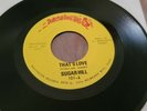 Sugar Hill - That's Love / Slow Down RARE Washington 45 Funk Milwaukee Soul