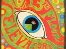 THIRTEENTH FLOOR ELEVATORS: psychedelic sounds of the thirteenth floor elevators