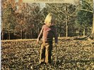 Brothers And Sisters, by The Allman Brothers Band UK  Capricorn Records