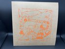 King Gizzard & The Lizard Wizard Teenage Gizzard Vinyl LP Turntable Lab TTL /300