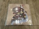 The Legend of Zelda: Wind Waker Vinyl Wind Odyssey Not Moonshake Record Ozeki