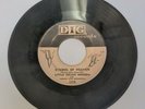 45 Record Little Julian Herrera Symbol of Heaven/Here In My Arms VG