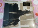 Pearl Jam - Ten 180 gram Audiophile Pressing New Sealed