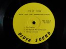 Roy Buchanan Buch And The Snakestretchers  One Of Three VG+  lp generic cover
