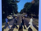 The Beatles - Abbey Road RARE GREEN VINYL. MINT
