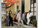 los tigres del norte para adoloridos LP record vinyl 12” norteño latin VG+/VG+
