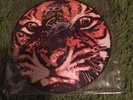 Eye Of The Tiger - Survivor 7