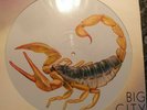 Scorpions - Limited Edition Picture Disc Big City Nights
