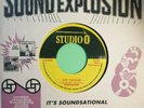STUDIO ONE .YOU CANNOT KNOW.THE COOLER THE WRIGGLERS .VINYL