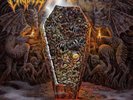 CRYPTA-ECHOES OF THE SOUL (UK IMPORT) VINYL LP NEW