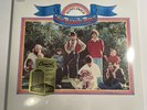 The Beach Boys Sunflower Lp 180g New Sealed Vinyl Brian Wilson Brand New?