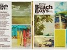 Various Artists - Many Faces Of The Beach Boys / Various (Ltd 180gm Gatefold Blu