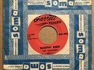 The Trashmen - Surfin’ Bird / King Of The Surf 45 Garrett garage ex