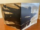 pearl jam ten vinyl remastered 2 LP Vinyl NM