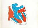 CHURCH of skins and heart Parlophone PCSO-7583 -rare Aussie © 1981 -Orange Label