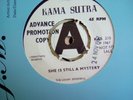 the lovin spoonful she is still a mystery demo