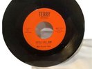 DEE FELICE 1963 TERRY RECORDS “LITTLE LIZA JANE” “NIGHTINGALE”