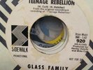 Glass Family - Teenage Rebellion Garage Psychedelic 45 EX+ Davie Allan Sidewalk