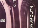 THE FLUID Roadmouth  LP Vinyl 1989 SUB POP Grunge SP36