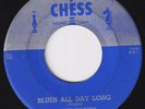 JIMMY ROGERS JIMMIE Blues All Day Long STUNNING orig US 45 You're The One HEAR