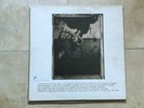 Pixies Surfer Rosa 1st UK Press Vinyl LP 1988 12