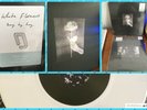WHITE FLOWERS DAY BY DAY DINKED EDITION+ WITHIN A DREAM 12
