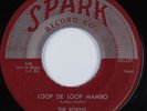 Doo Wop Blues 45 ROBINS Loop De Loop Mambo SPARK HEAR