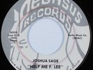 Psych Folk 45 JOSHUA SAGE Help Me F. Lee PEGASUS HEAR