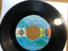 LUIS VIVI HERNANDEZ 45 El Monstrou 1971 Monster Mash Spanish Version