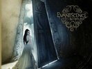 EVANESCENCE THE OPEN DOOR  R S D 2 DISC  GREY MARBLE COLOURED VINYL NEW SEALED