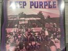Very Rare Deep PURPLE 