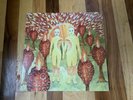 of Montreal - The Sunlandic Twins 2LP Vinyl Record - 2005 - NM Free Shipping