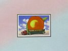 Allman Brothers Band ?- Eat A Peach LP - 180 Gram Vinyl Album REMASTERED Record